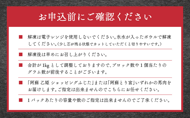 馬刺し 赤身1kg(たれ・おろし生姜付き） ver.3 馬刺し 赤身 馬肉 1kg 生姜 醤油 小分け セット 大容量 熊本