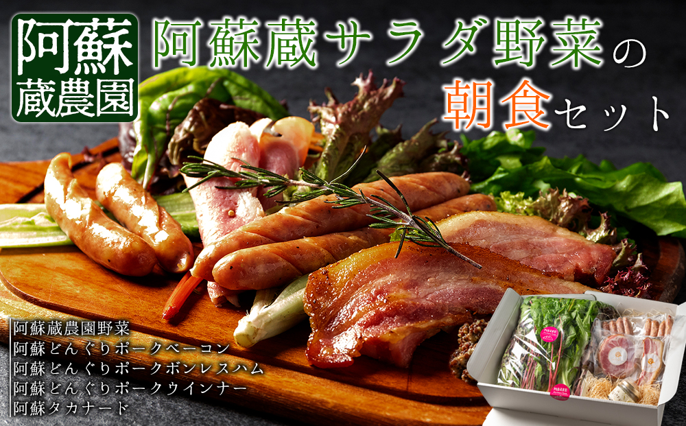 阿蘇を感じる阿蘇蔵サラダ野菜の朝食セット  新鮮野菜　阿蘇の味　健康的な食生活 詰め合わせ　野菜宅配  産地直送 採れたて 人気 美味しい 熊本 阿蘇