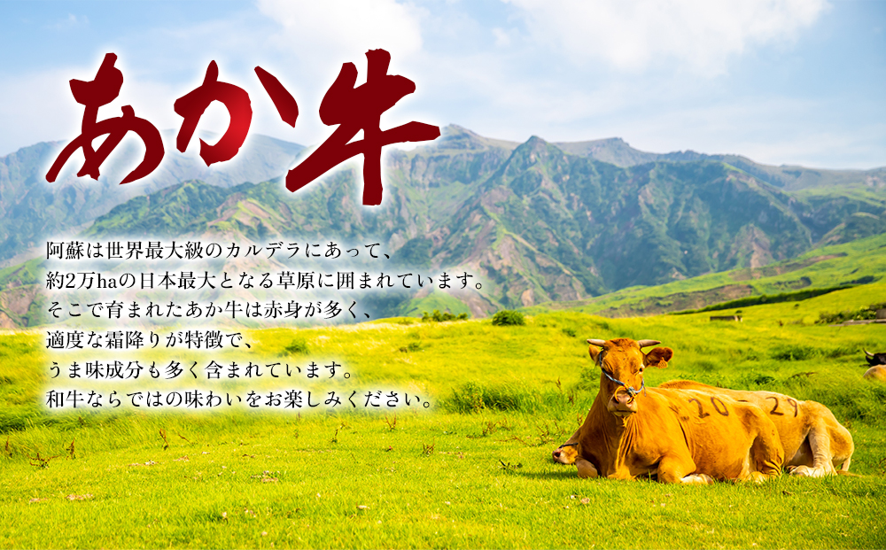 くまもとあか牛 肩ロース 焼肉用 500g 