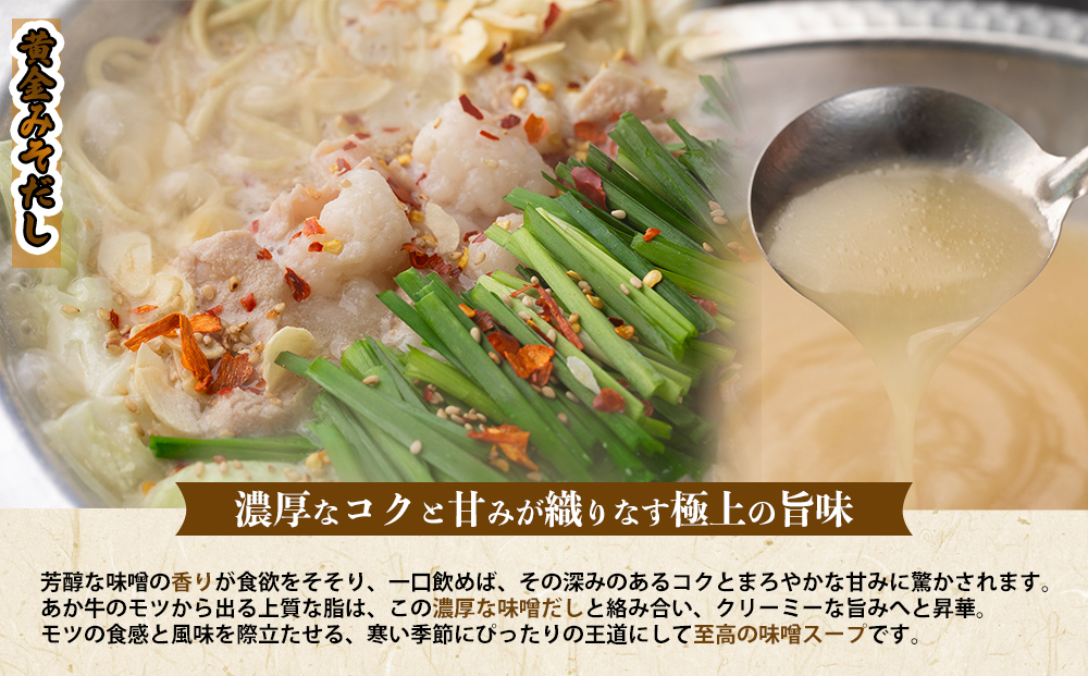 阿蘇はなびし あか牛もつ鍋セット（みそ）冷凍 鍋 味噌 牛肉 もつ 冷凍 便利 料理 自宅用 贈答用 お中元 お歳暮 クリスマス ギフト 冬 おすすめ 熊本県 阿蘇市