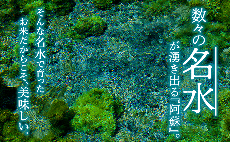 ãéžã¹ãåæ°ããå®æäŸ¿12åãR7幎ç£ã³ã·ãã«ãª 5kg ããå³éžã®ç£å°çŽéç±³ çœç±³ ãç±³ äººæ° çŸå³ãã çœã飯 ãã ãã èŸ²æ¥ çå³ éŠã ã〠ãç±³ã®çæ§ çæ¬ç é¿èåž