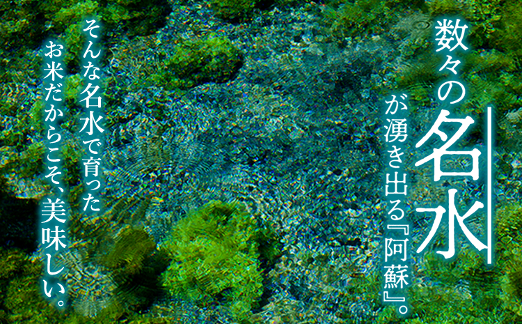 令和6年度 阿蘇の美味しいお米定期便 5kg×6回（隔月）