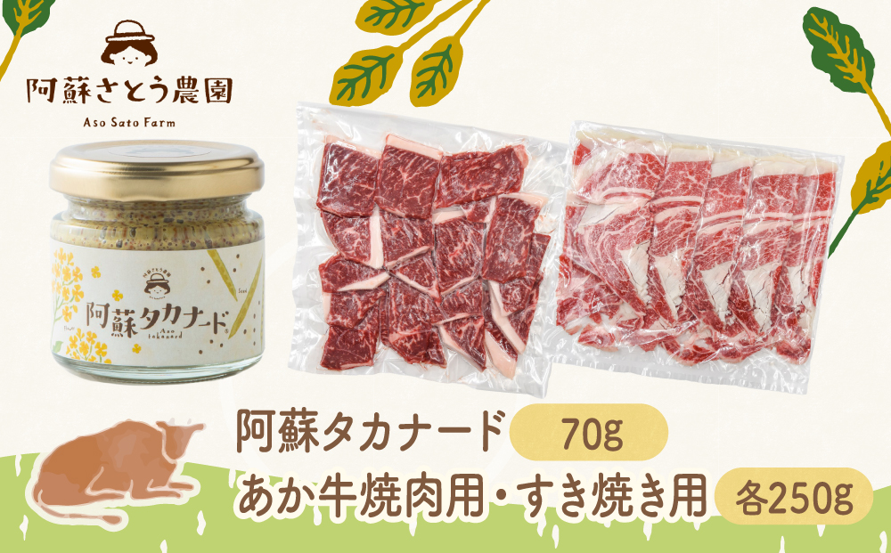 【ふるさと納税】阿蘇タカナード70g と あか牛 焼肉用 250g すき焼き用 250g セット 阿蘇高菜 あか牛 阿蘇さとう農園 人気 美味しい 熊本 阿蘇