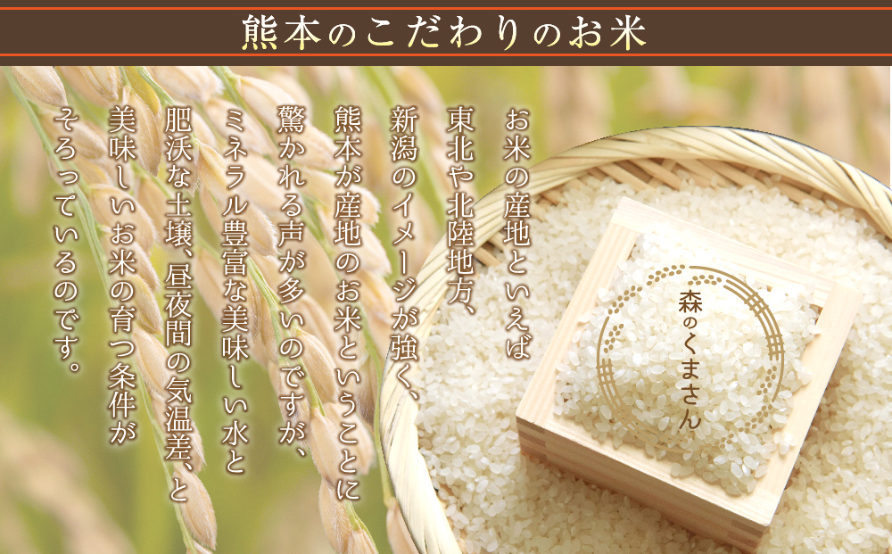 【令和6年度】 内田農場の新米 森のくまさん 5kg 1袋 白米 お米 人気 美味しい 白ご飯 こだわり 農業 甘味 香り ツヤ お米の王様 熊本県 阿蘇市