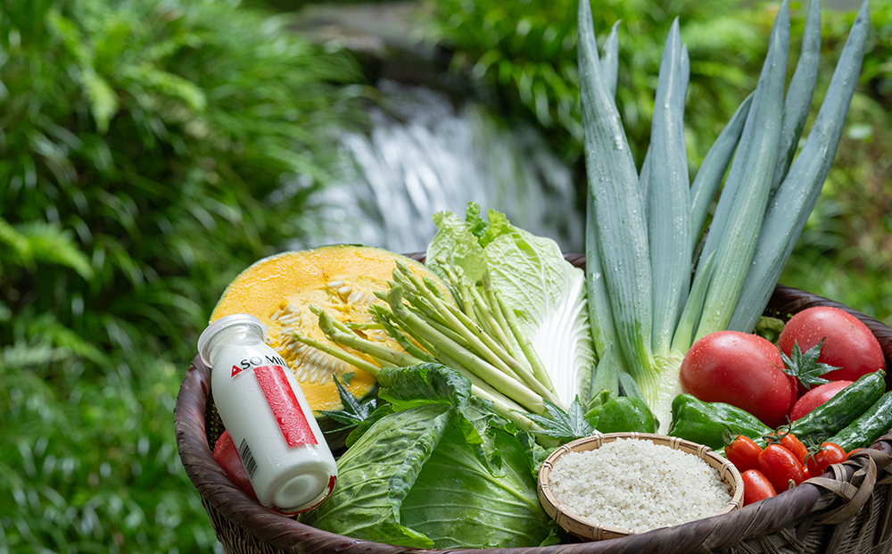 阿蘇高原 旬の野菜セット 5〜6品 ＆ 阿部牧場 牛乳(ASOMILK・のむヨーグルト 200ml×各1本)  詰め合わせ 産地直送  熊本県 阿蘇市