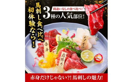 【熊本肥育】熊本馬刺しの真骨頂「大トロ」と定番セットの詰め合わせ 馬刺し 霜降り 赤身 たてがみ 馬肉 セット 食べ比べ 700g 醤油 熊本