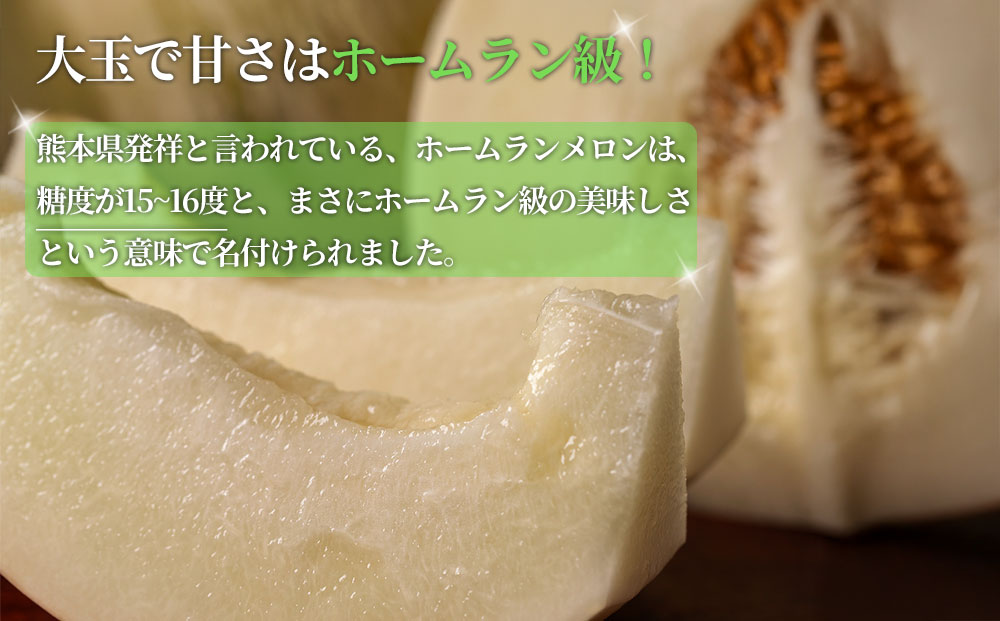 場外ホームランメロン 甘い 白い 希少メロン フルーツギフト ギフト 贈答用 お祝い【6月上旬より順次発送】 熊本県 阿蘇市 