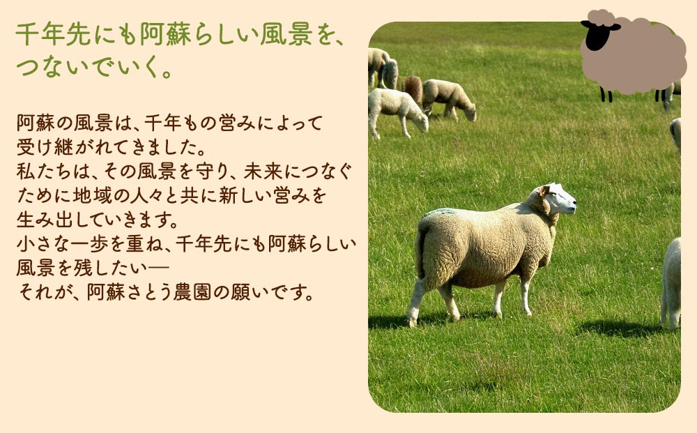 阿蘇地域で生産した貴重な国産羊肉のジンギスカン！  国産羊肉 ジンギスカン 熊本特産 晩白柚風味  羊肉レシピ 簡単調理 焼くだけ 本格ジンギスカン  熊本グルメ ご当地グルメ 特製漬け込み お取り寄せグルメ BBQ食材 ご飯に合う ヘルシー肉 風味豊かな羊肉 熊本県　阿蘇市