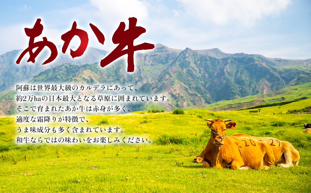 【GI認証】くまもとあか牛 すき焼き用約500g 阿蘇牧場 黒毛和牛 和牛 国産 牛肉 ブランド牛 人気 美味しい すき焼き 希少 ジューシー 熊本 阿蘇 