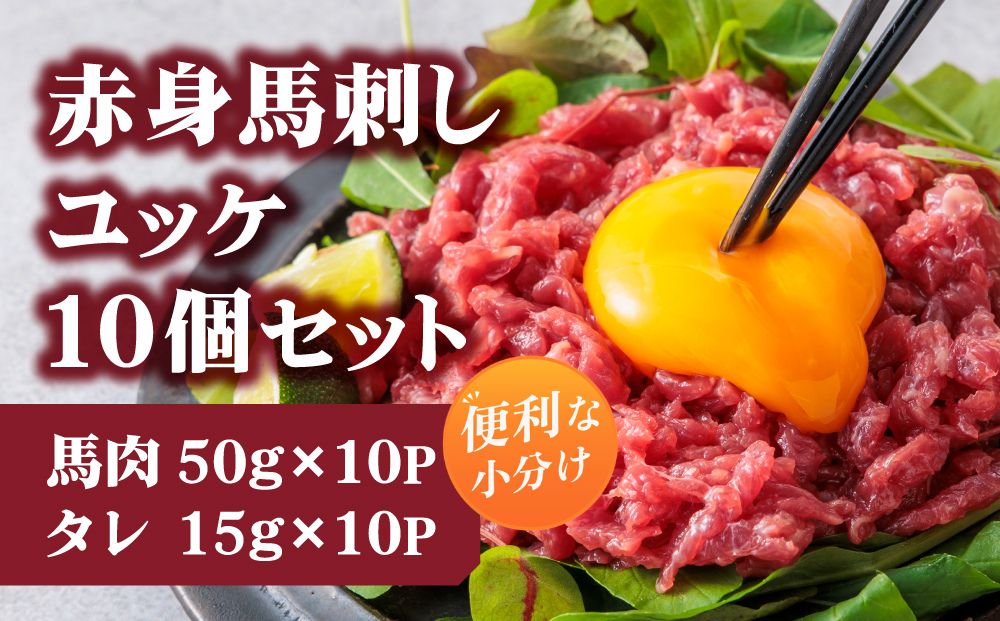 【熊本馬刺し】馬刺し ユッケ 500g 【タレ付 千興ファーム  肥育  国産 冷凍 小分け 真空パック 新鮮 馬肉 おつまみ 飛行機 マイル 旅 熊本 阿蘇 熊本県 阿蘇市】