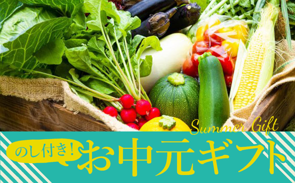 【夏のギフト】高冷地　朝採り夏野菜〜ふるさとセット〜