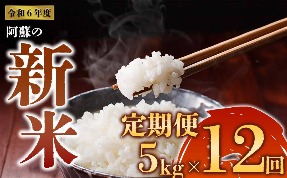 令和6年度 阿蘇の美味しいお米定期便 5kg×12回（毎月）