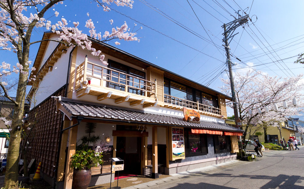 あか牛のヘルシーな赤身 牛カツ （特製だし醤油付き） 50g×4 あか牛 和牛 肉 ブランド牛 牛肉 人気 美味しい 赤身 ヘルシー ジューシー 特製だし醤油 贅沢 豪華 熊本 阿蘇