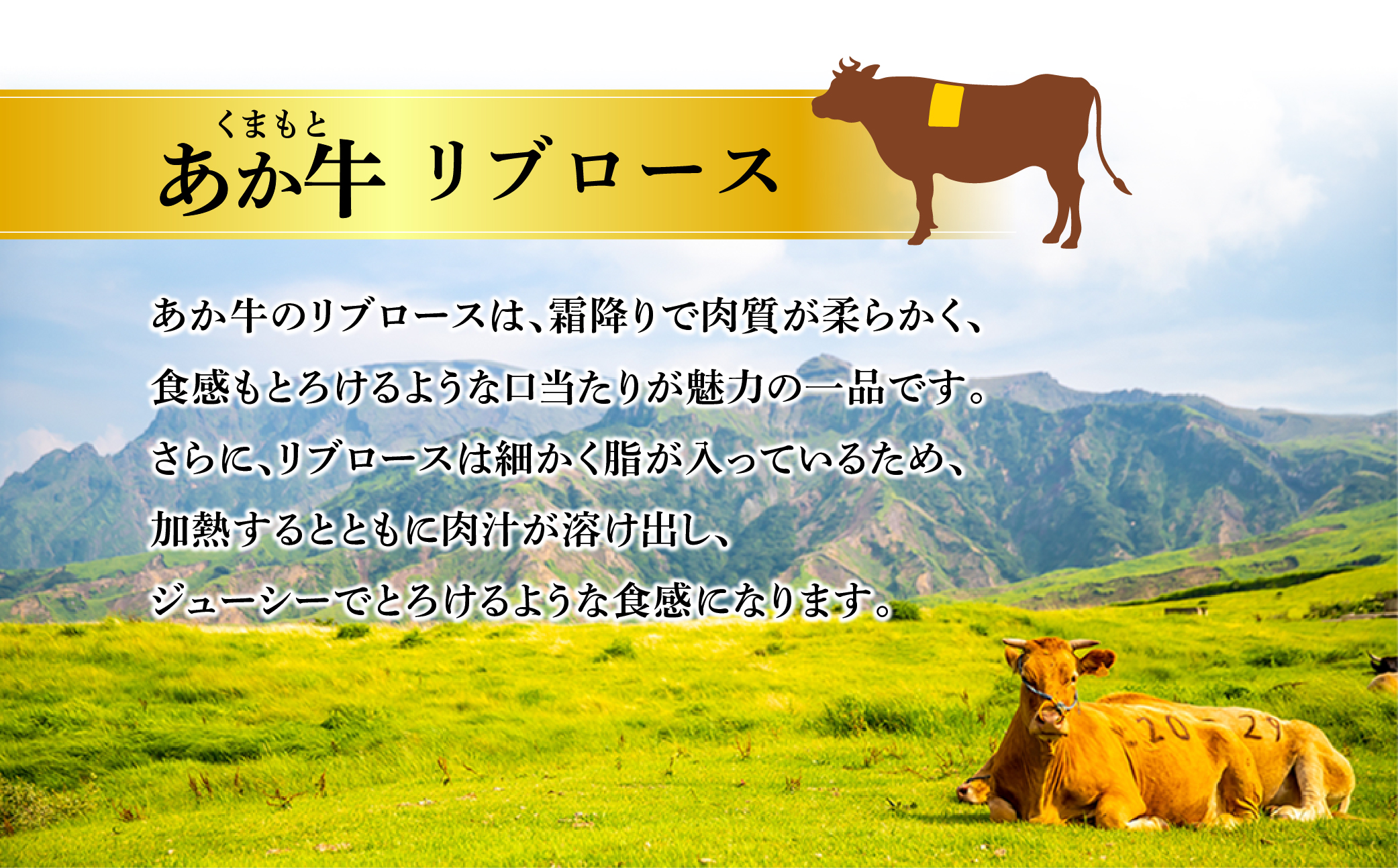 【畜協直】あか牛リブロースステーキ200g×2 ブランド牛 和牛 牛肉 国産 希少 希少部位 リブロース ステーキ あか牛 人気 200g×2 霜降り ジューシー 熊本 阿蘇