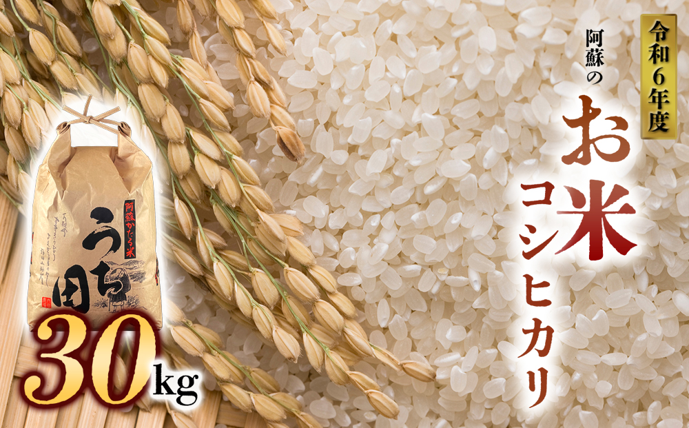 【令和6年度】内田農場の新米 コシヒカリ 30kg （5kg×6袋） 白米 お米 人気 美味しい 白ご飯 こだわり 農業 甘味 香り ツヤ お米の王様 熊本県 阿蘇市