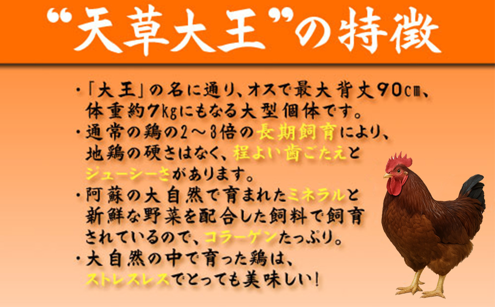 【JALふるさと納税限定】ご当地直行便　天草大王と阿蘇タカナード　くまもと地鶏 地鶏 肉 鶏肉 もも　人気 希少 貴重 美味しい ヘルシージューシー コラーゲン　高菜　農林水産省　優良ふるさと食品　 熊本 阿蘇