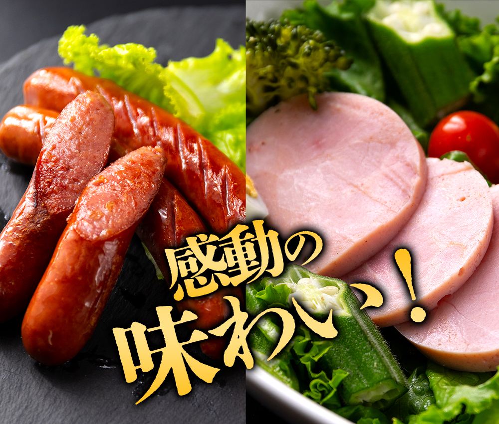 おうちごはんシリーズ「中華セット」ver.2 ラーメン 高菜めしの素 ベーコン 餃子 人気 美味しい 中華 調理 簡単 お手軽 詰め合わせ 熊本 阿蘇