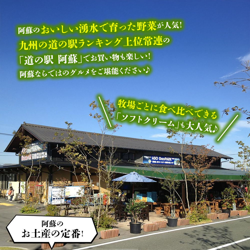 【20,000円分】 阿蘇市 宿泊補助券 観光 旅行 宿泊補助券 クーポン チケット 人気 観光地 選べる 旅館 ホテル 温泉 旅 宿泊 父の日　熊本 阿蘇 ホテルクーポン