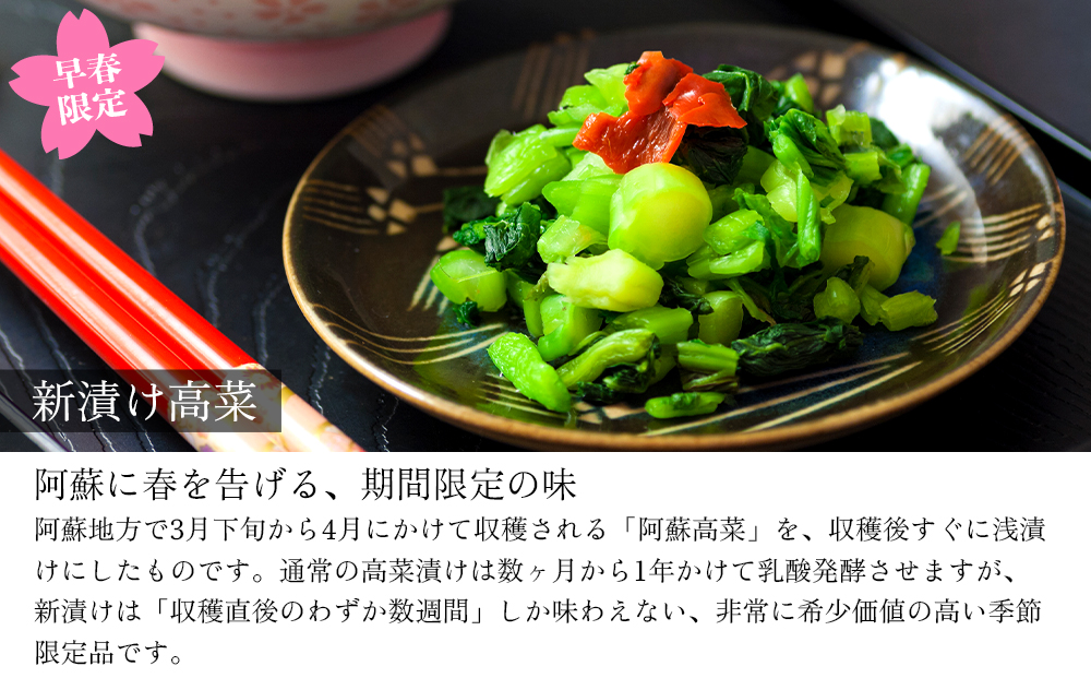 【早春限定】春を彩る 阿蘇の新漬け高菜200g×2パックセット 阿蘇高菜 ご当地 郷土 お取り寄せ たかな 漬物 冷蔵 おつまみ ごはん おかず ピリ辛 期間限定 数量限定 贈り物 熊本県 阿蘇市