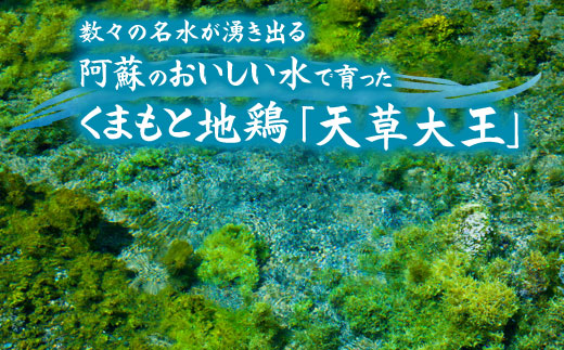 【JALふるさと納税限定】ご当地直行便　天草大王と阿蘇タカナード　くまもと地鶏 地鶏 肉 鶏肉 もも　人気 希少 貴重 美味しい ヘルシージューシー コラーゲン　高菜　農林水産省　優良ふるさと食品　 熊本 阿蘇