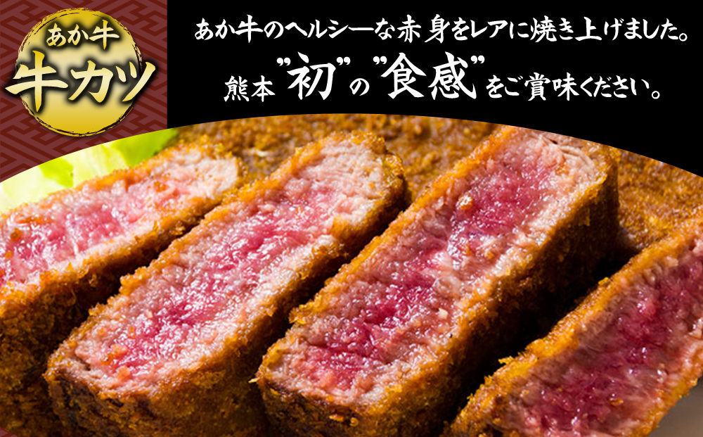 あか牛のヘルシーな赤身 牛カツ （特製だし醤油付き） 50g×4 あか牛 和牛 肉 ブランド牛 牛肉 人気 美味しい 赤身 ヘルシー ジューシー 特製だし醤油 贅沢 豪華 熊本 阿蘇