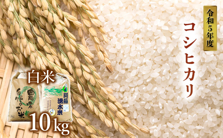 【令和5年度】 阿蘇の美味しいお米 コシヒカリ 10kg 1袋 白米 お米 人気 美味しい 白ご飯 こだわり 農業 甘味 香り ツヤ お米の王様 熊本 阿蘇