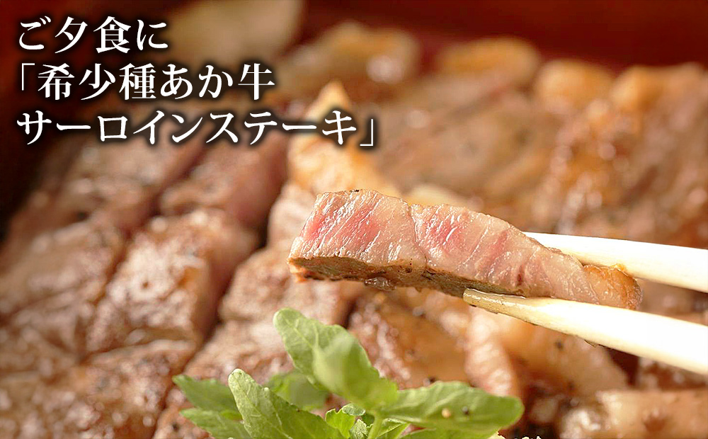 é¿è 芪åè ãã·ã¥ã©ã³ã¬ã€ãæ²èŒæ
通 æã®é ãå®¶ é«çŽåé£äŒåžä»ã1æ³2é£ä»ã宿æ³åž çæ¬ç é¿èåž