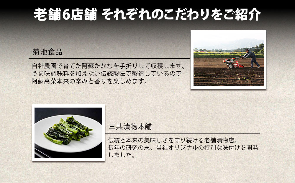 【早春限定】R6年度 阿蘇の新漬け高菜セット 阿蘇高菜 6店舗 食べ比べ