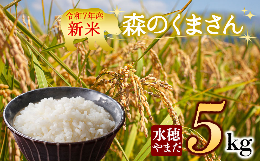 【予約】新米 令和7年産　森のくまさん 5kg　水穂やまだ　グランプリ獲得 お米 米 人気 美味しい 弾力 粘り 食感 湧水 熊本 阿蘇