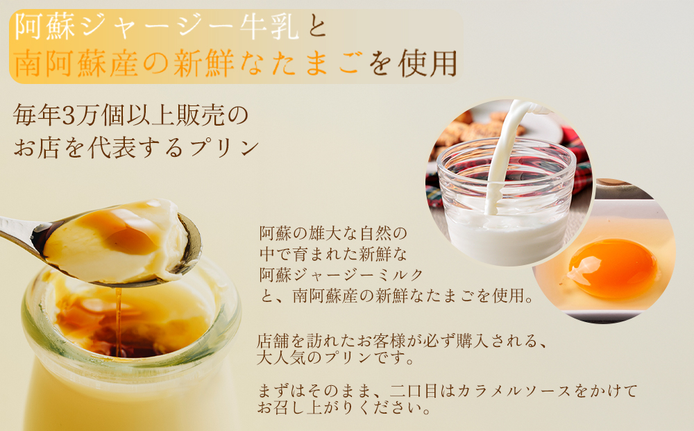 ギフトにもオススメ！ こだわりの濃厚プリン2種セット　計8個（各4個ずつ）  チョコレートプリン ジャージーミルクプリン 詰め合わせ 冷蔵 スイーツ お菓子 ティータイム 濃厚 美味しい おやつ ギフト おすすめ 人気 手土産 お土産 お取り寄せ 熊本県 阿蘇市