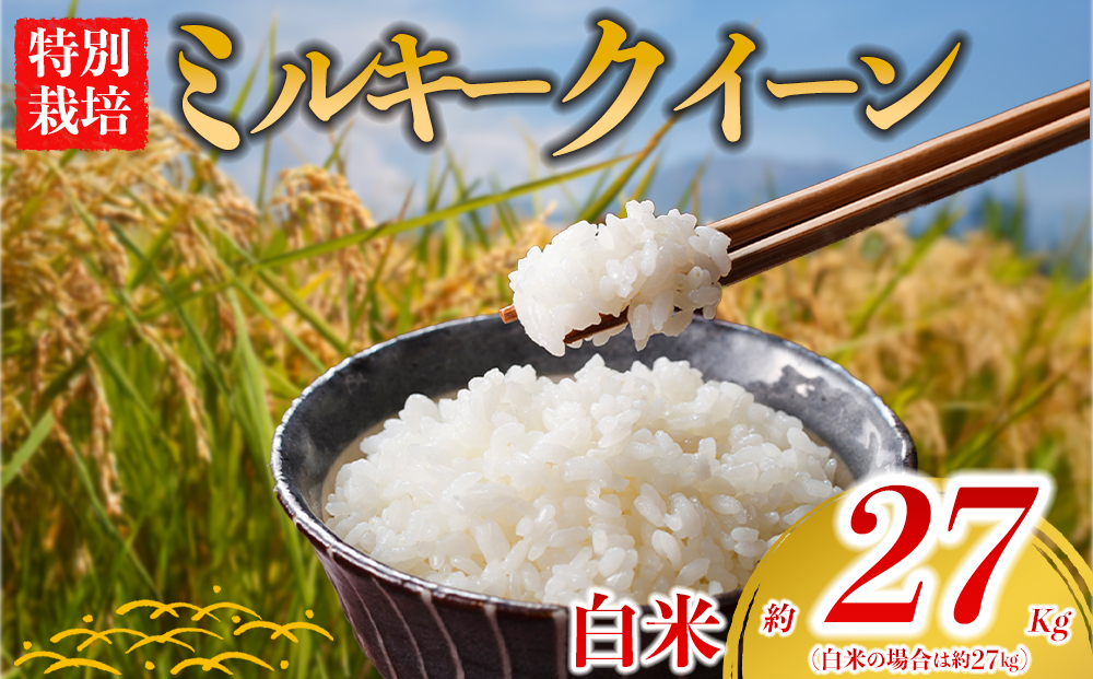 [お米]特別栽培米 ミルキークイーン 約27kg×1[(白米)阿蘇アグロスタイル 米 ごはん 人気 美味しい みるきーくいーん 甘味 もちもち なめらか 減農薬 湧水 熊本 阿蘇 熊本県 阿蘇市]