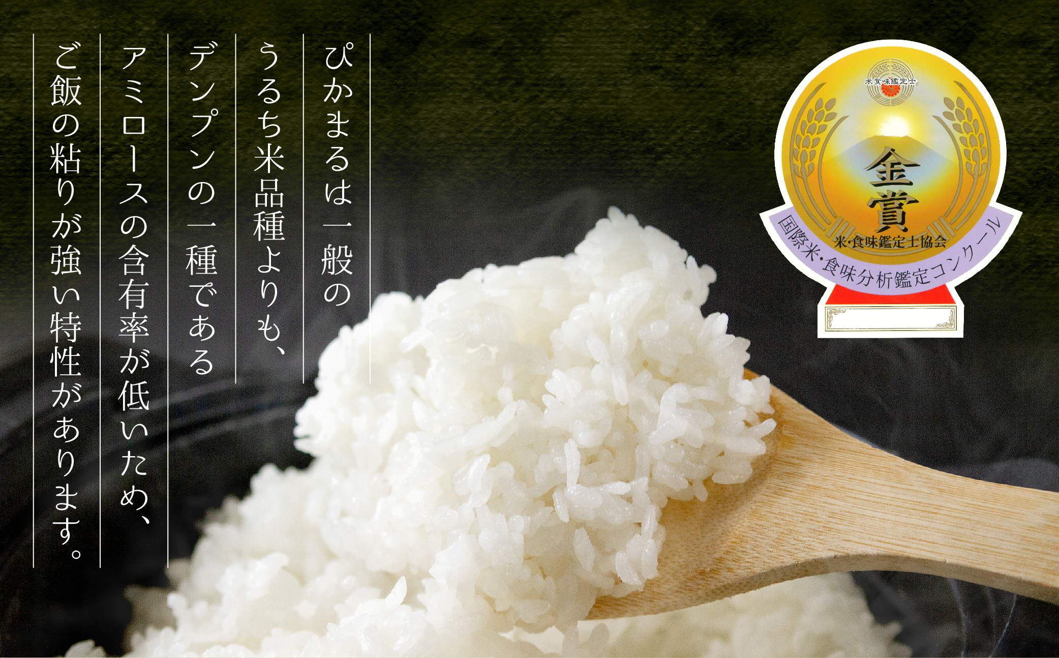 極美純米ぴかまる 2kg スパルタ農法こだわりのお米 2kg 米 お米 コンクール 優秀金賞 受賞 人気 美味しい こだわり 贅沢 高級 減農薬 熊本 阿蘇