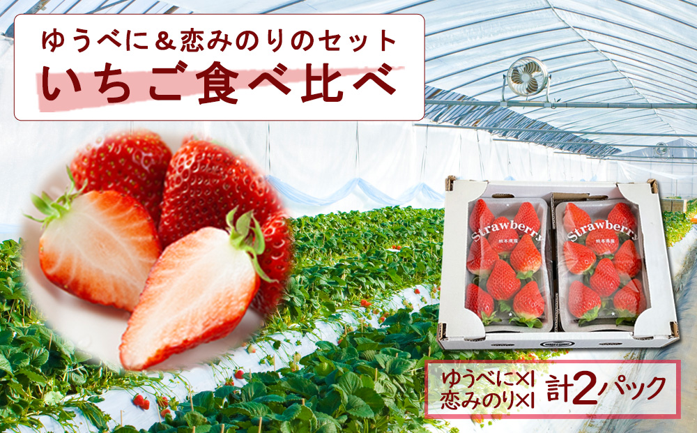 ゆうべに・恋みのり 各1パック 食べ比べセット 高藤農園 美味しい 人気 あまい 甘い いちご 苺 イチゴ 詰め合わせ フルーツ  ふるさと納税 熊本 阿蘇