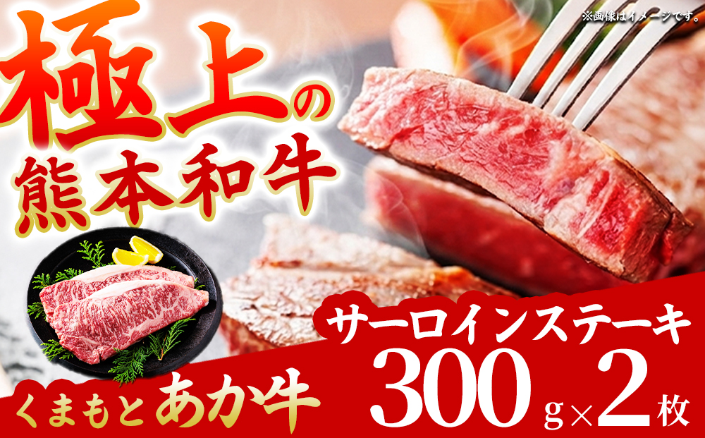 あか牛 サーロインステーキ 600g (300g×2枚)  和牛 赤牛 国産 牛肉 ブランド牛 希少部位 高級 ギフト 数量限定 熊本県 阿蘇市