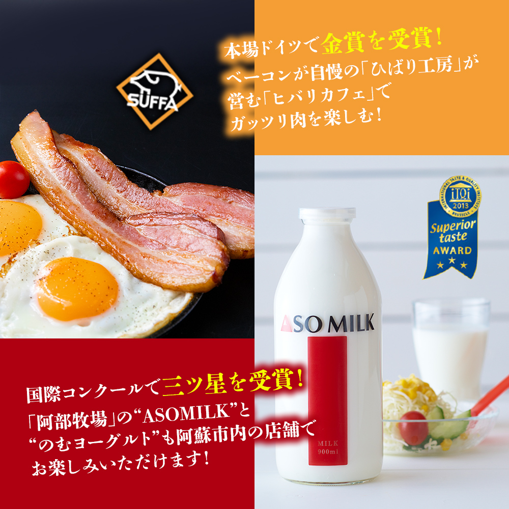 【20,000円分】 阿蘇市 宿泊補助券 観光 旅行 宿泊補助券 クーポン チケット 人気 観光地 選べる 旅館 ホテル 温泉 旅 宿泊 父の日　熊本 阿蘇 ホテルクーポン