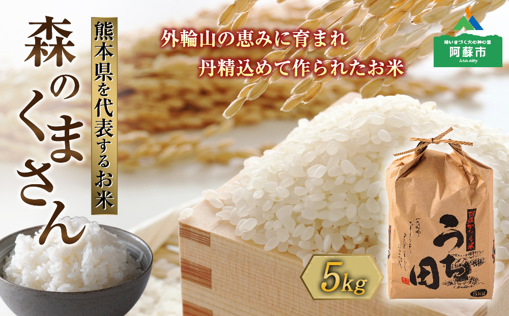 【令和6年度】 内田農場の新米 森のくまさん 5kg 1袋 白米 お米 人気 美味しい 白ご飯 こだわり 農業 甘味 香り ツヤ お米の王様 熊本県 阿蘇市