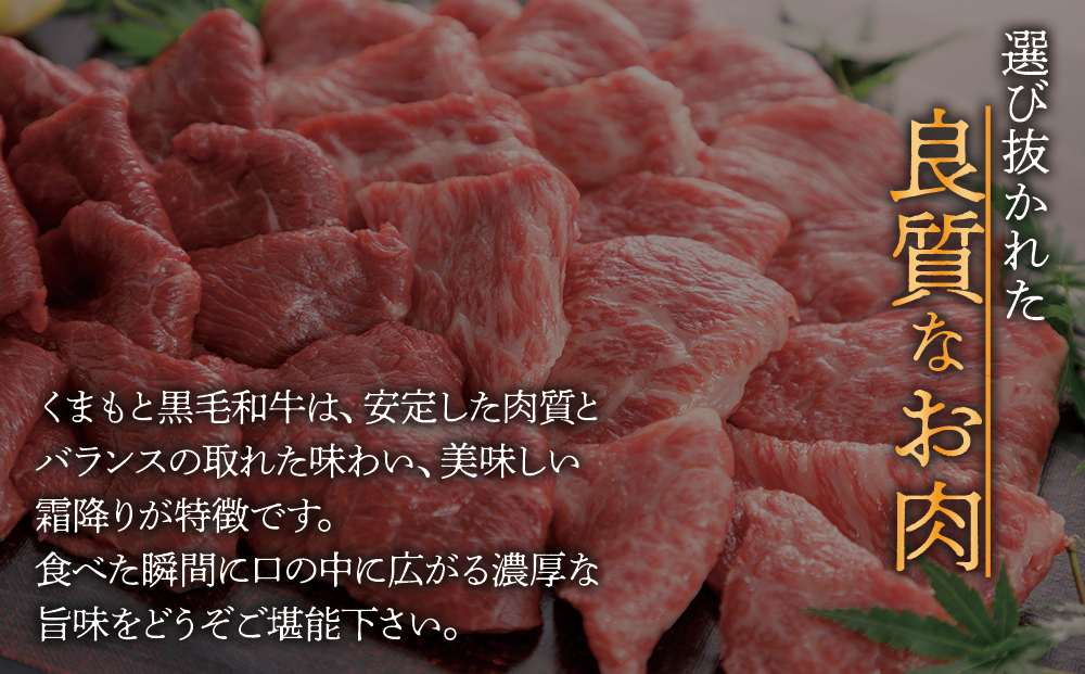 くまもと黒毛和牛 すきやき500g 阿蘇牧場 黒毛和牛 和牛 国産 牛肉 ブランド牛 人気 美味しい すき焼き 希少 ジューシー 熊本 阿蘇