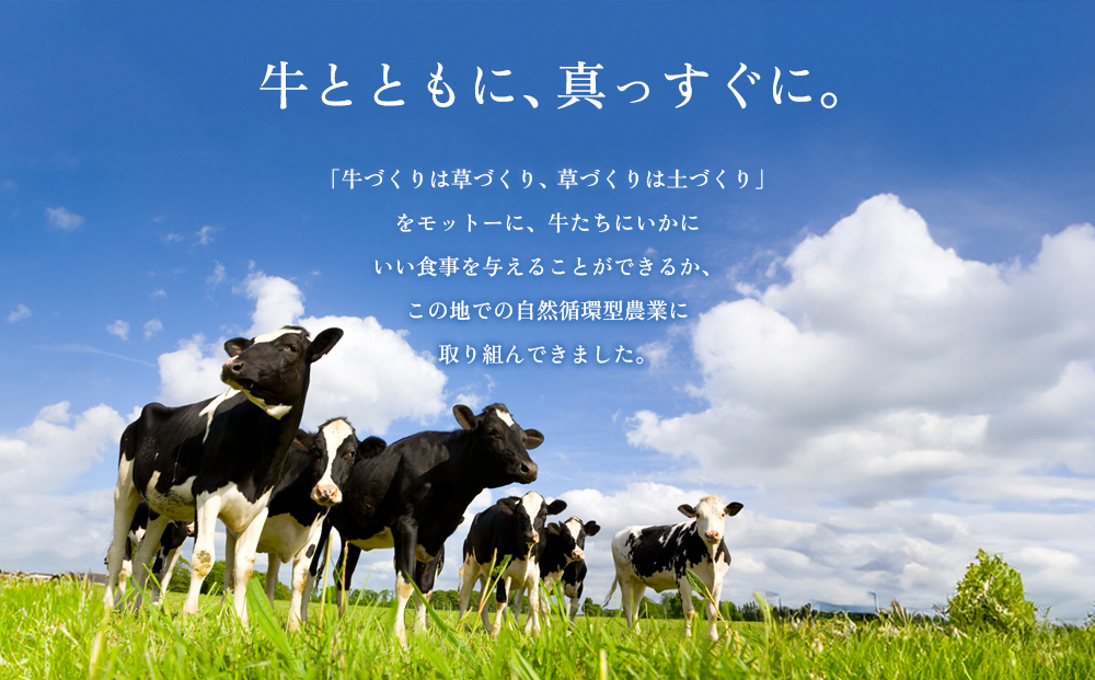 のむヨーグルト 800ml×1本 阿部牧場 乳製品 最優秀味覚賞 三ツ星受賞 搾りたて こだわり 人気 濃厚 贅沢 詰め合わせ 熊本県 阿蘇市