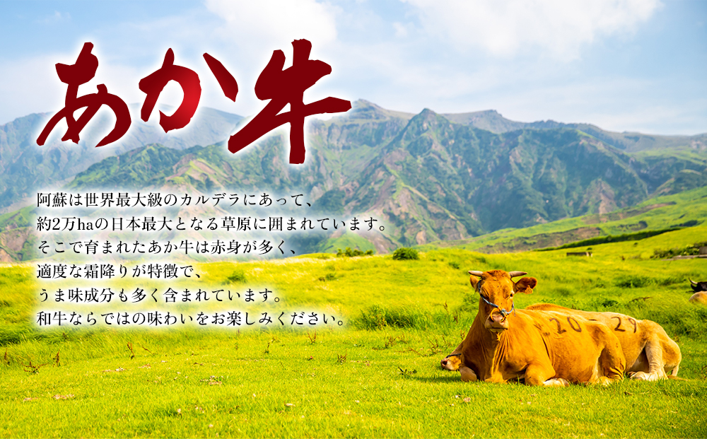 【定期便 全3回】【GI認証】くまもとあか牛ロースすきやき500g 阿蘇牧場 熊本県 阿蘇市