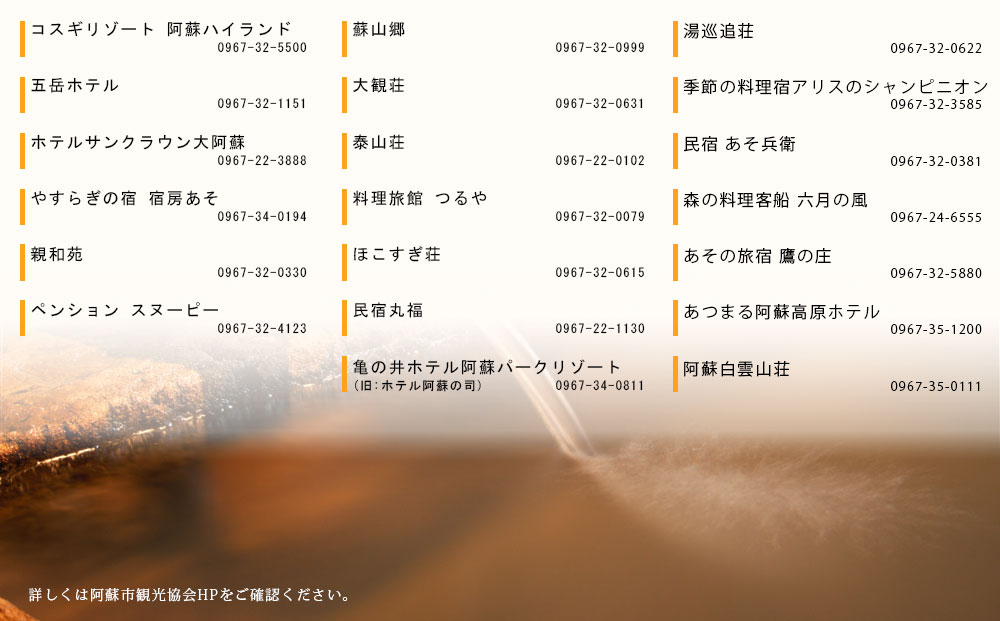 【20,000円分】 阿蘇市 宿泊補助券 観光 旅行 宿泊補助券 クーポン チケット 人気 観光地 選べる 旅館 ホテル 温泉 旅 宿泊 父の日　熊本 阿蘇 ホテルクーポン