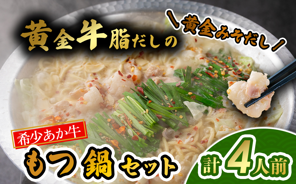 阿蘇はなびし あか牛もつ鍋セット(みそ)冷凍 鍋 味噌 牛肉 もつ 冷凍 便利 料理 自宅用 贈答用 お中元 お歳暮 クリスマス ギフト 冬 おすすめ 熊本県 阿蘇市