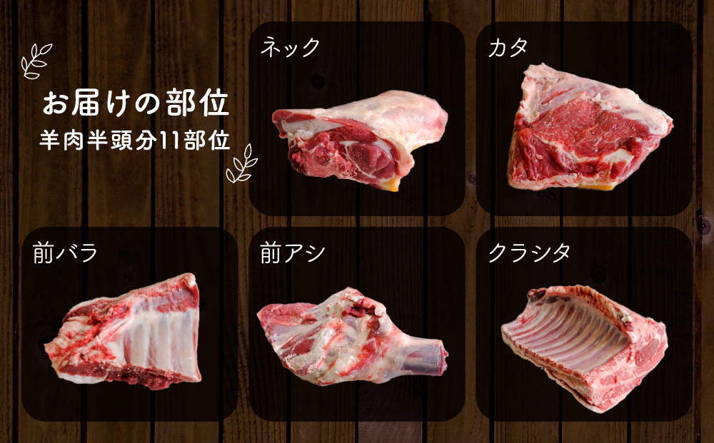 【ふるさと納税】阿蘇いろひつじ 半頭買い 11部位 羊肉 ラム肉 阿蘇さとう農園