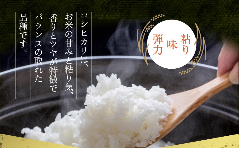 ãéžã¹ãåæ°ãR7幎ç£ã³ã·ãã«ãª 5kg ããå³éžã®ç£å°çŽéç±³ãçœç±³ ãç±³ äººæ° çŸå³ãã çœã飯 ãã ãã èŸ²æ¥ çå³ éŠã ã〠ãç±³ã®çæ§ çæ¬ç é¿èåž