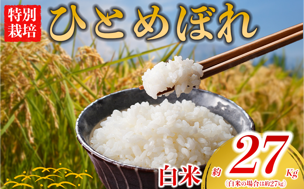 [お米]特別栽培米 ひとめぼれ 約27kg×1[(白米)阿蘇アグロスタイル 米 ごはん 人気 美味しい ヒトメボレ 甘味 もちもち なめらか 減農薬 湧水 熊本 阿蘇 熊本県 阿蘇市]
