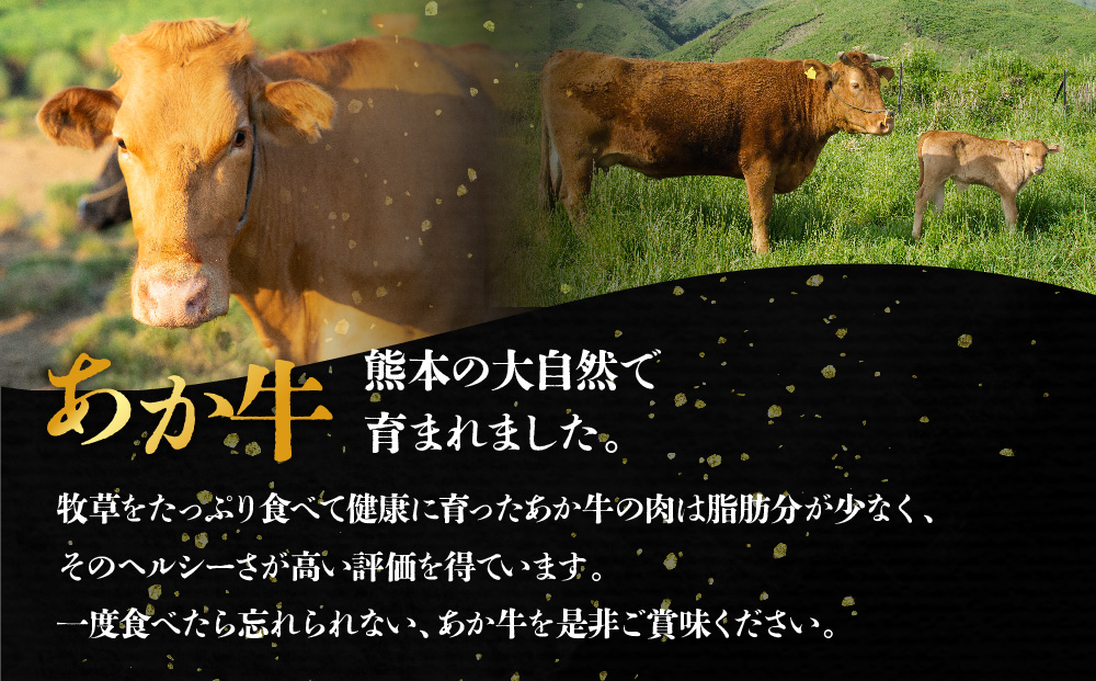 【三協畜産】【選べる内容量】熊本和牛あか牛赤身モモスライス 400g（タレ付き） 熊本和牛 あか牛 熊本あか牛 赤身 モモ肉 ももスライス 赤身スライス しゃぶしゃぶ用 すき焼き用 お取り寄せ ヘルシー 柔かい 熊本県 阿蘇市