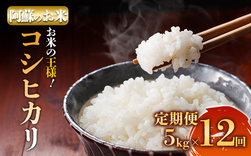 【選べる回数】【定期便12回】R7年産コシヒカリ 5kg プロ厳選の産地直送米 白米 お米 人気 美味しい 白ご飯 こだわり 農業 甘味 香り ツヤ お米の王様 熊本県 阿蘇市