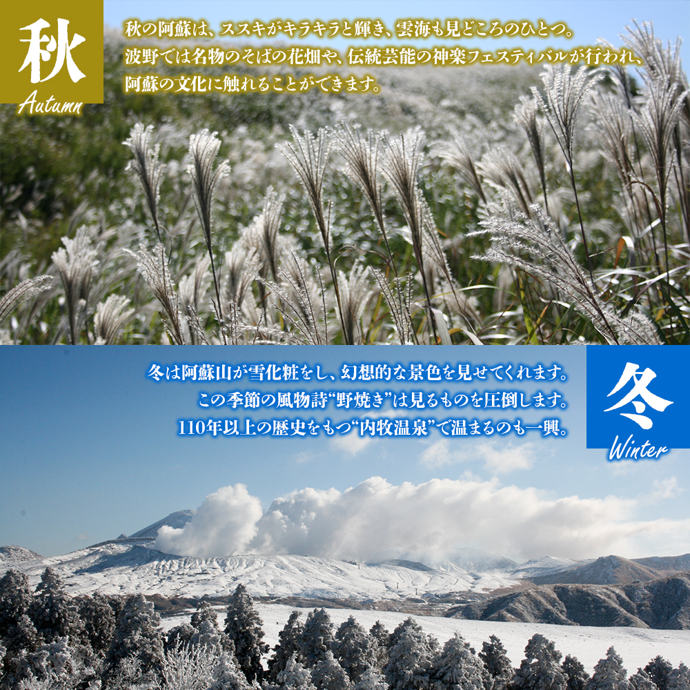 【20,000円分】 阿蘇市 宿泊補助券 観光 旅行 宿泊補助券 クーポン チケット 人気 観光地 選べる 旅館 ホテル 温泉 旅 宿泊 父の日　熊本 阿蘇 ホテルクーポン