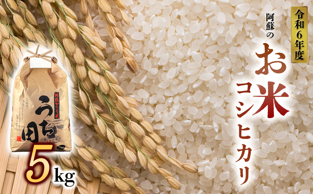 【令和6年度】内田農場の新米 コシヒカリ 5kg 1袋 白米 お米 人気 美味しい 白ご飯 こだわり 農業 甘味 香り ツヤ お米の王様 熊本県 阿蘇市