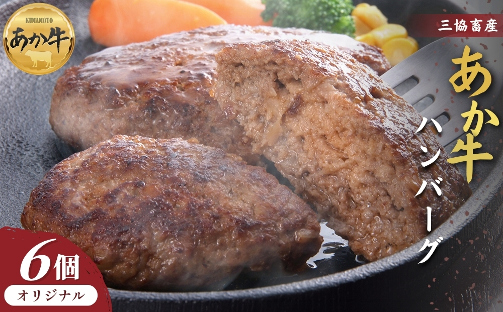 【三協畜産】熊本和牛あか牛ハンバーグ6個 あか牛ハンバーグ 国産 簡単 お取り寄せ 冷凍 お土産 ギフト 贈り物 贈答用 豪華 贅沢 ご褒美  人気 おもてなし 晩ご飯  熊本県 阿蘇市
