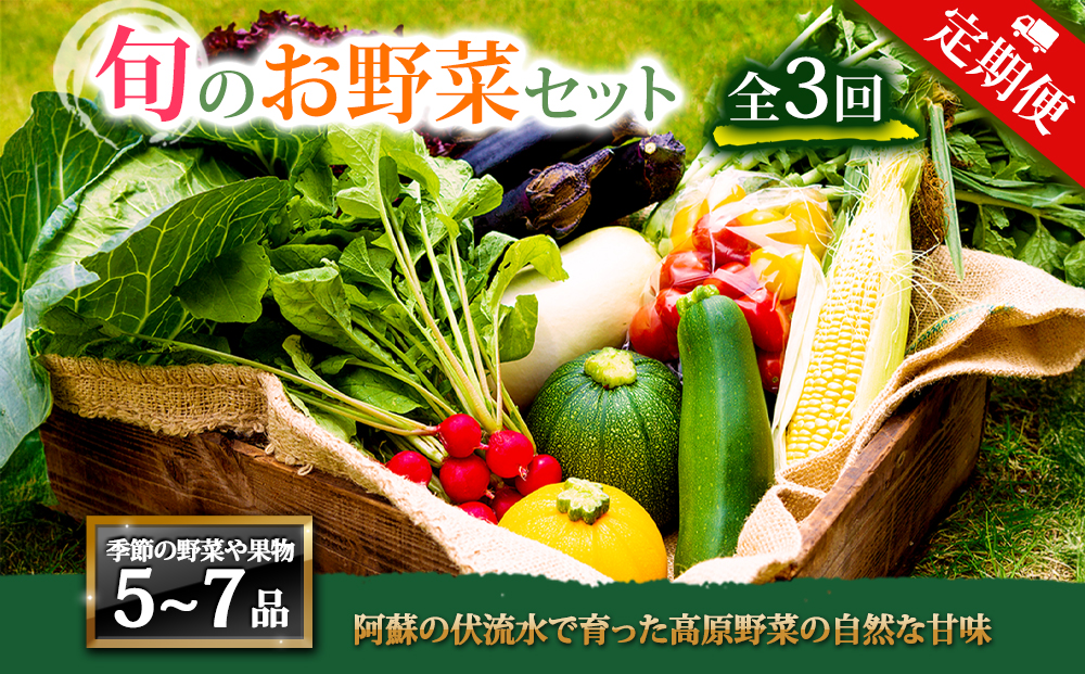 【定期便 全3回】<畑から直送>季節のお野菜セット Mサイズ  野菜 5〜7品  お取り寄せ　九州産　詰め合わせ 新鮮 減農薬 高原 旬 産地直送 採れたて 甘い 美味しい 人気 安心 安全 熊本県 阿蘇市